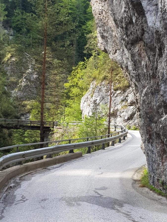 Pension Gut Trogern Bad Eisenkappel Eksteriør bilde